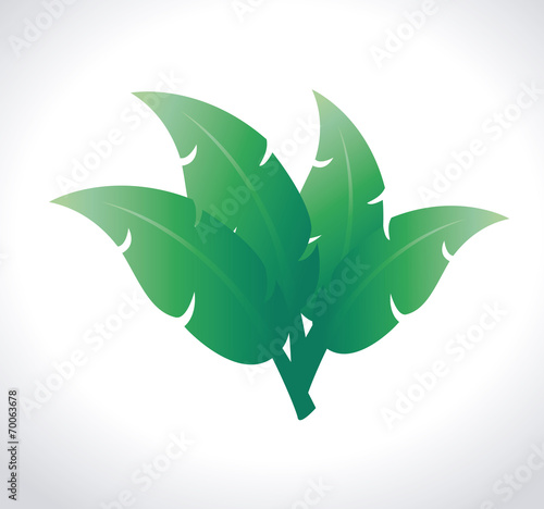 Ecology design