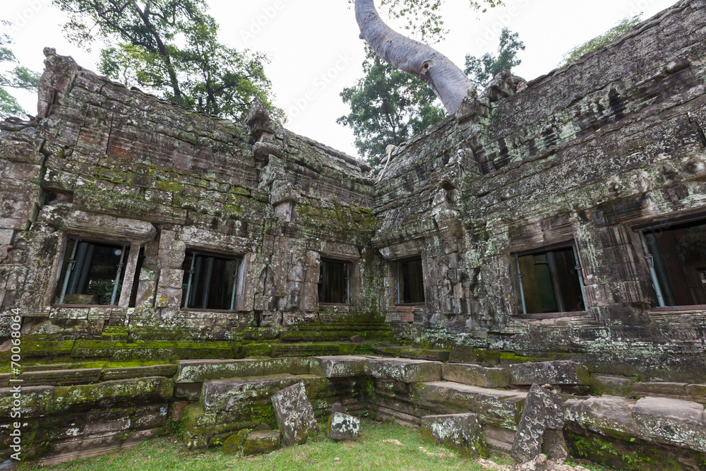 Ta Phrom, Angkor Wat, Cambodia