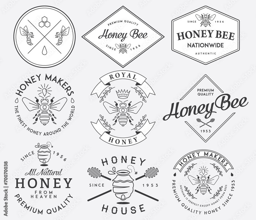 Fototapeta premium Honey and Bees