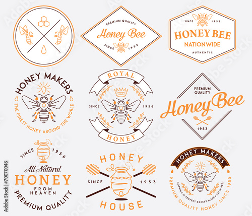Honey and Bees colored