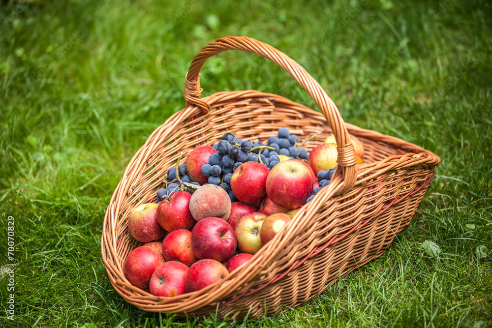 Basket with fruit on a green grass Basket with fruit on a green grass