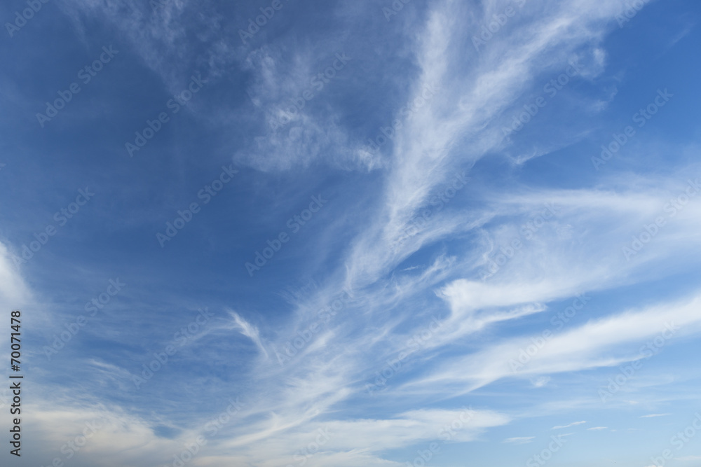 東京の夏空 東京の夏空
