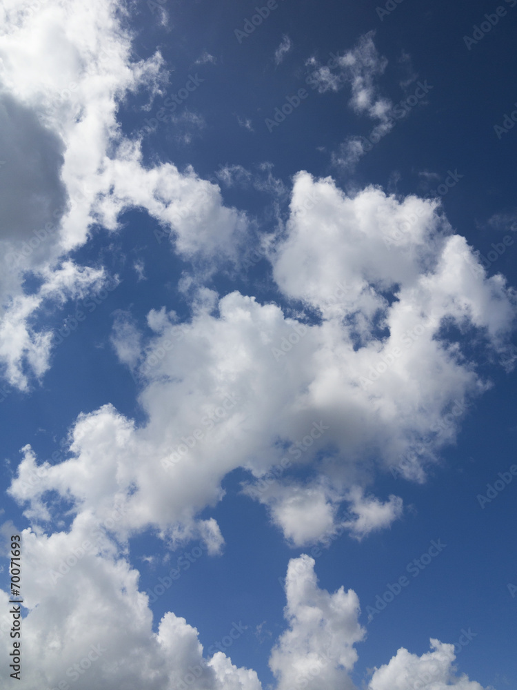 Obraz premium 青空と雲