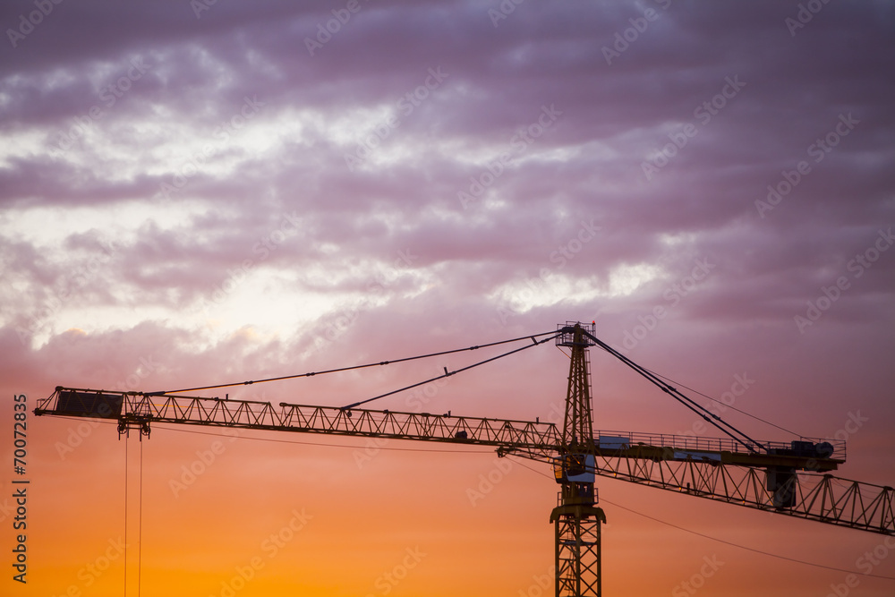 Cranes at dusk