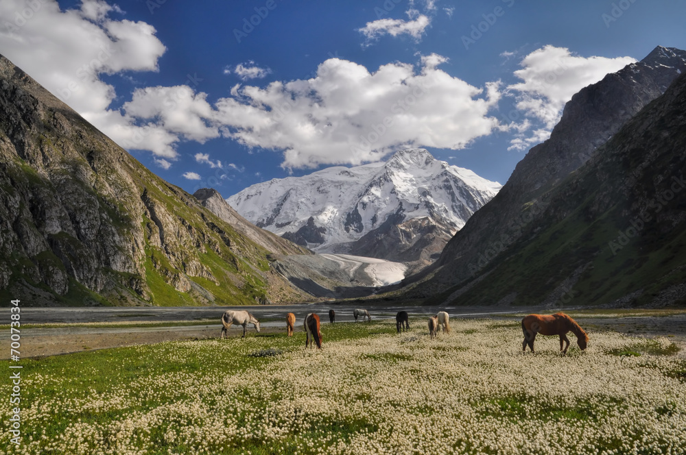 Tian-Shan in Kyrgyzstan