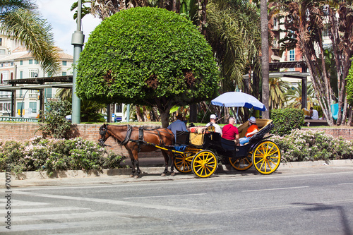 Horse carriage with tourist in andalusia street