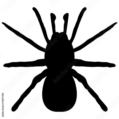 black silhouette of a spider on a white background