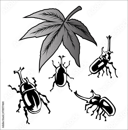 vector set of beetle on white background