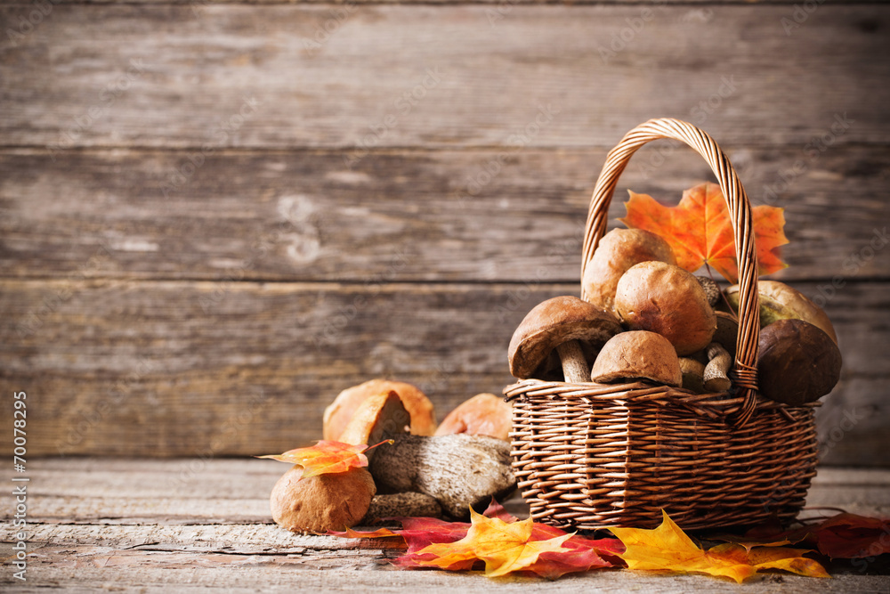Mushroom Boletus over Wooden Background Mushroom Boletus over Wooden Background
