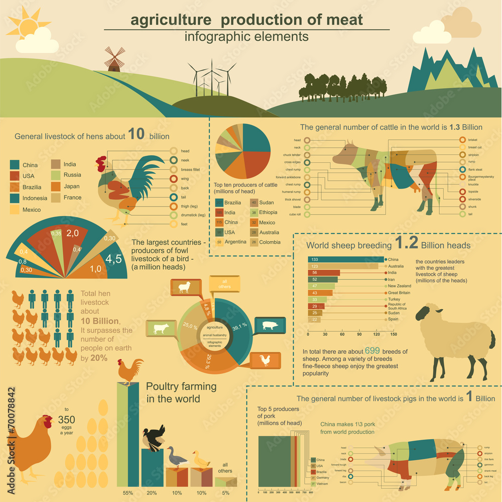 Obraz premium Agriculture, animal husbandry infographics, Vector illustrations