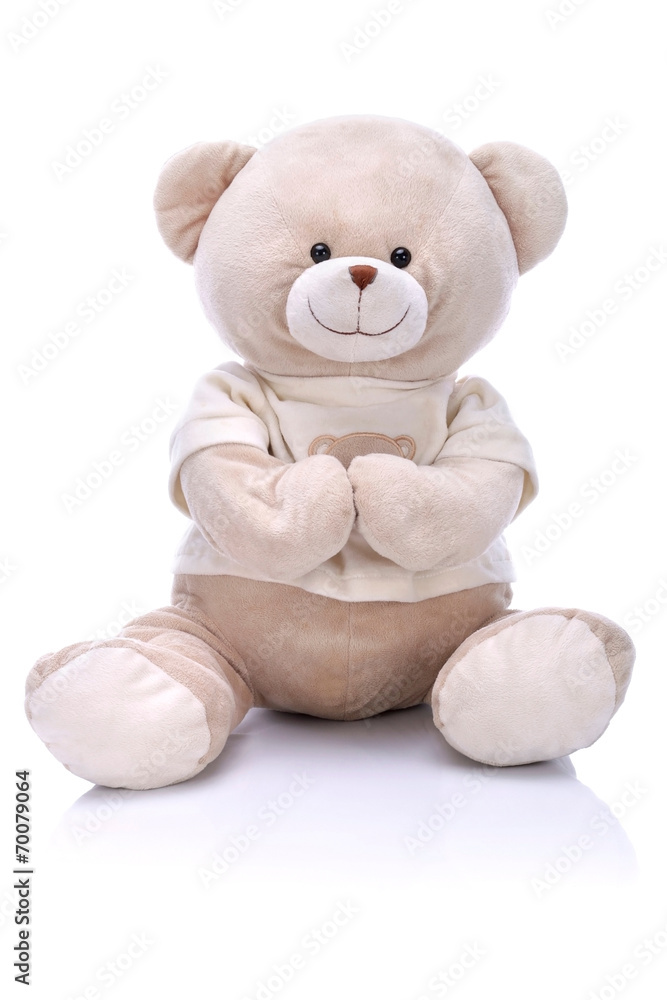 Teddy bear on a white background - obrazy, fototapety, plakaty 
