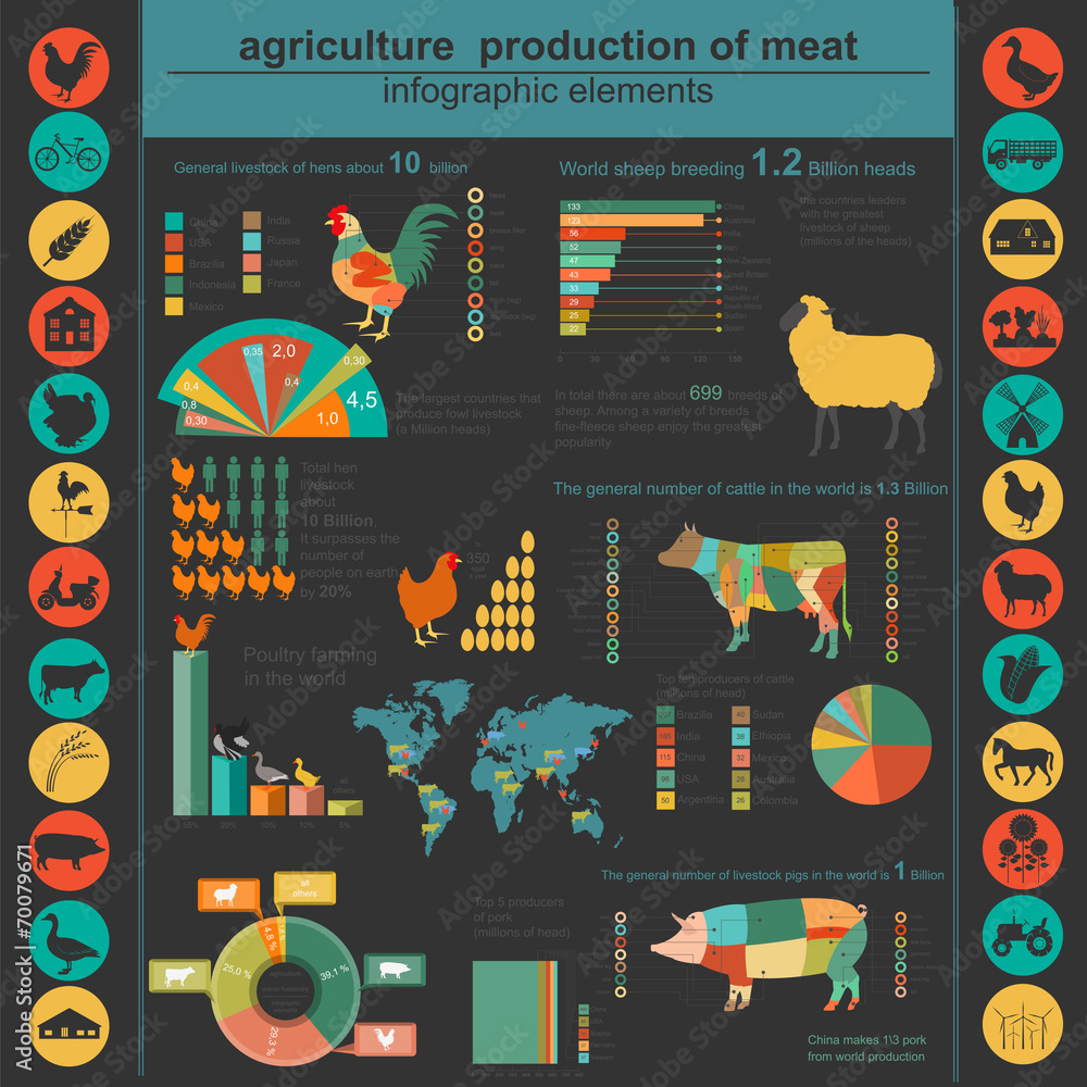 Obraz premium Agriculture, animal husbandry infographics, Vector illustrations