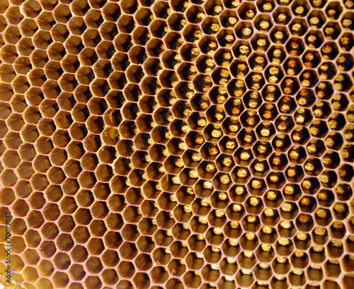 honeycomb background