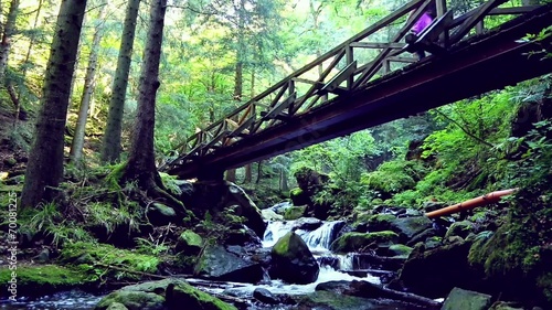 young woman hiking in the forest