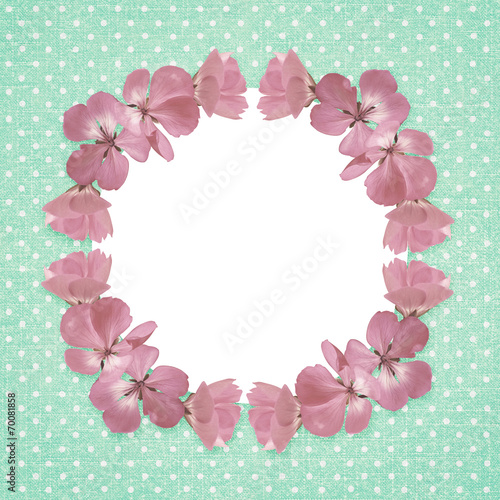 Pink frame with geranium fl...