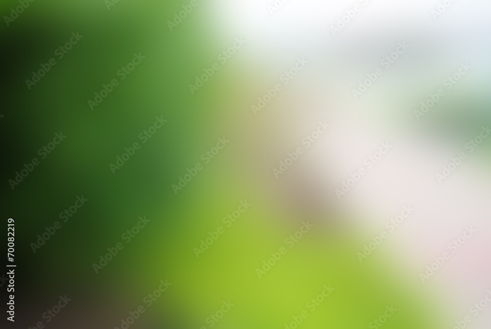 bush background bush background