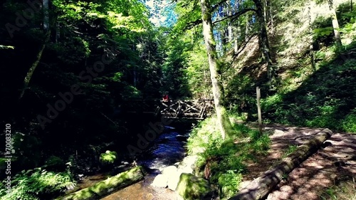 young hiker standing on a bridge, looking at landscape