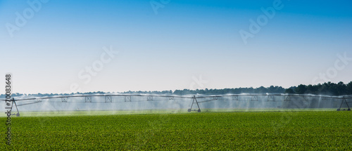Irrigation pipes and spray in a field