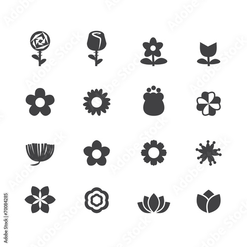 Fototapeta Naklejka Na Ścianę i Meble -  flower vector set