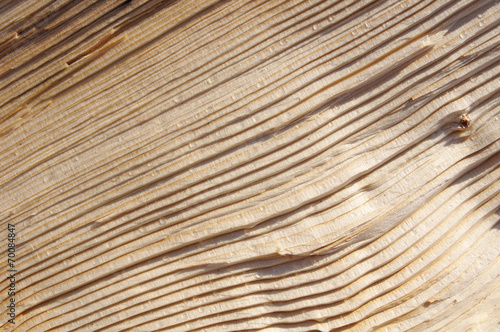 Split beech log texture