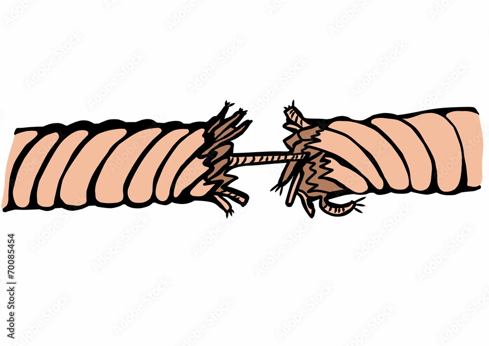 Obraz premium doodle old rotten rope