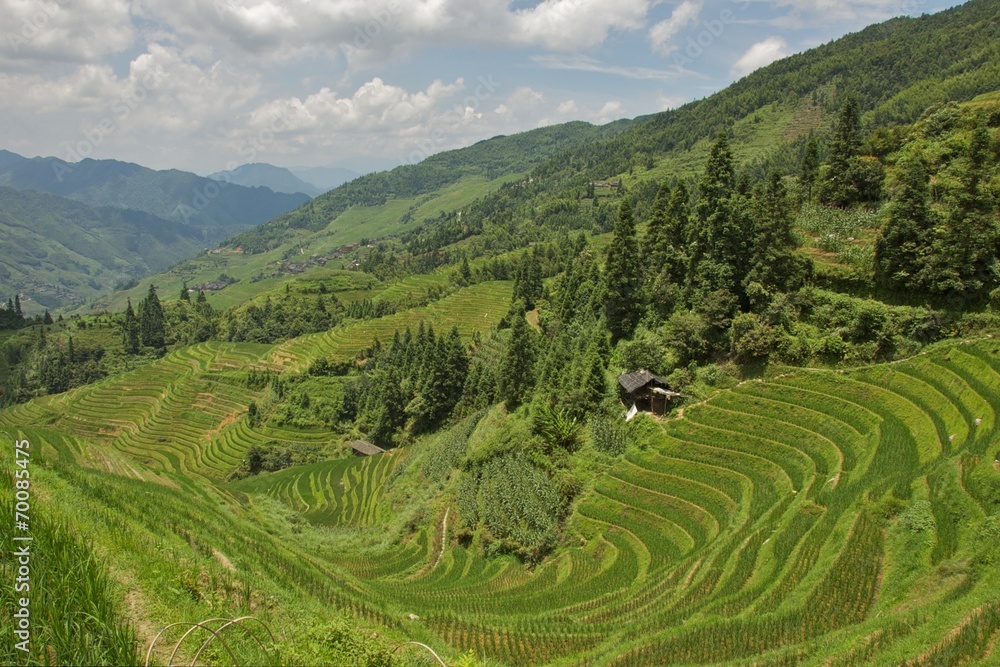 Jongli Rice Terraces in Guilin, China