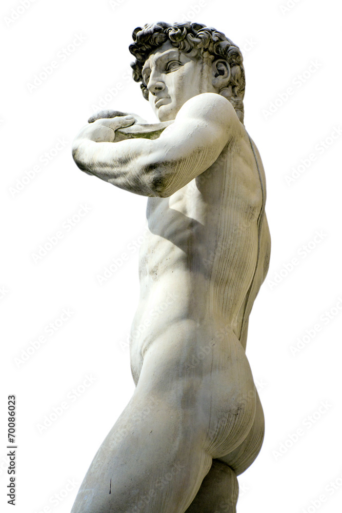 Fototapeta premium David of Michelangelo, Florence - Tuscany, Italy