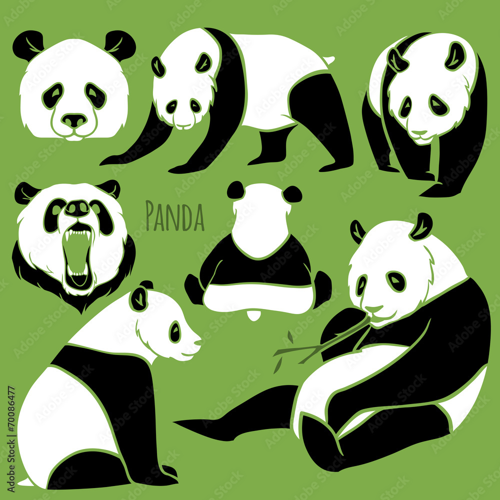 Set of Vector Panda silhouettes set Set of Vector Panda silhouettes set