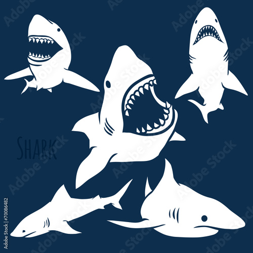 Danger Shark silhouettes set.