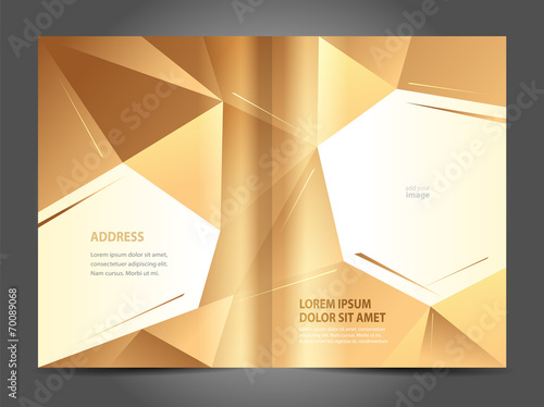 Brochure design template gold abstract polygon background