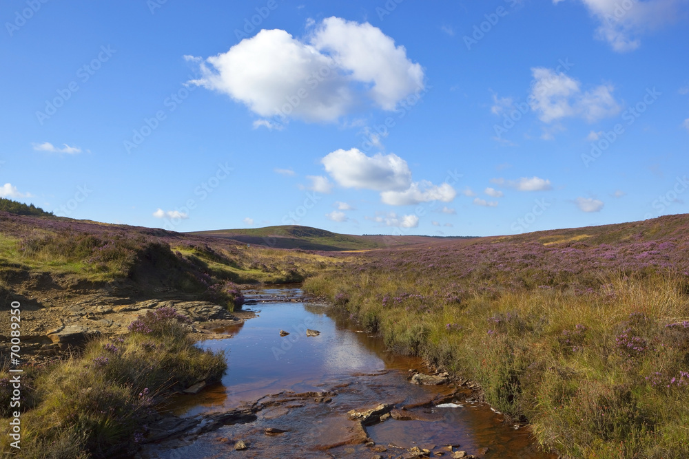 moorland stream
