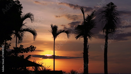 View of beautiful sunset and palms moving by the wind, timelaps photo