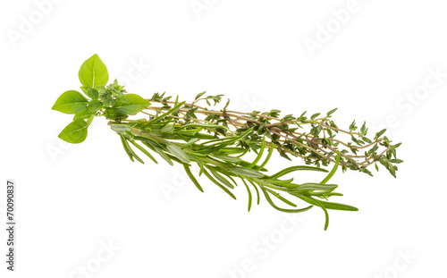 Fresh aroma herbs