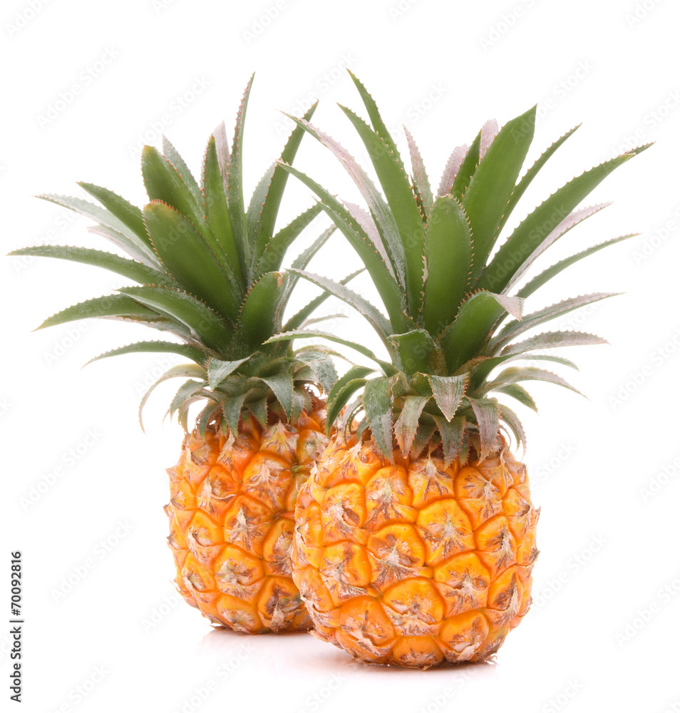 Pineapple tropical fruit or ananas Pineapple tropical fruit or ananas