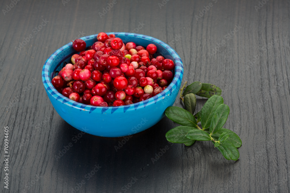 Cowberry Cowberry