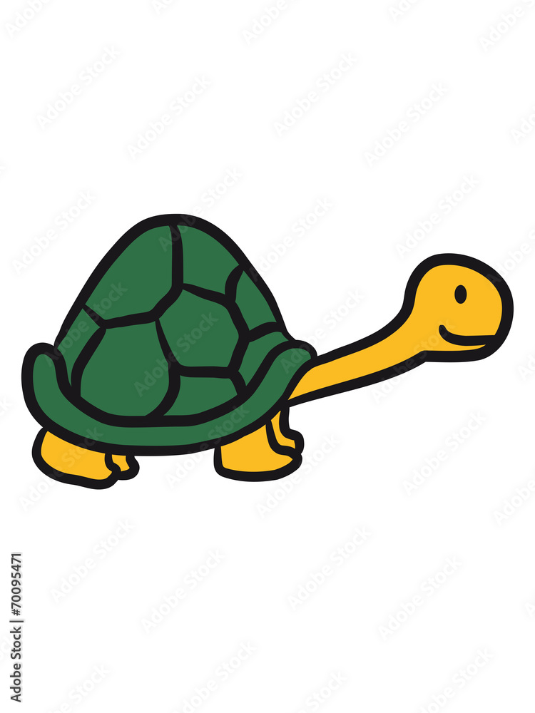 Obraz premium Kleine süße niedliche Schildkröte
