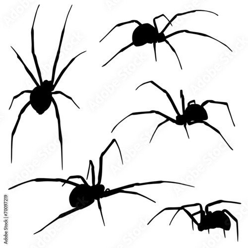 Schwarze Witwe Set