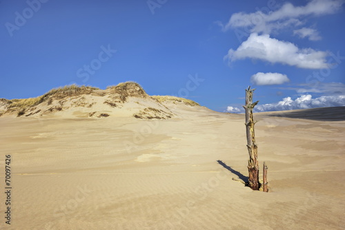 Fototapeta Naklejka Na Ścianę i Meble -  Morze, wydmy na plaży