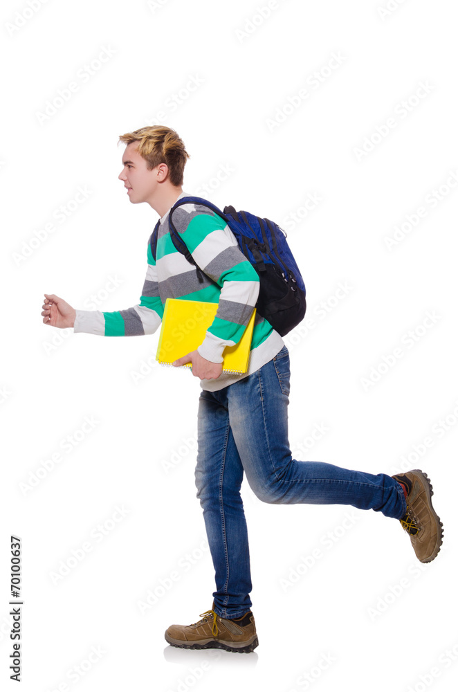 Young student isolated on the white background Young student isolated on the white background