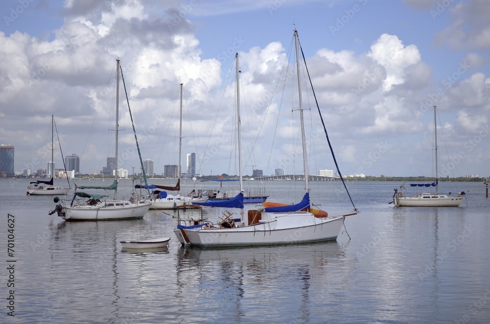 Sailboats On A Florida Waterway