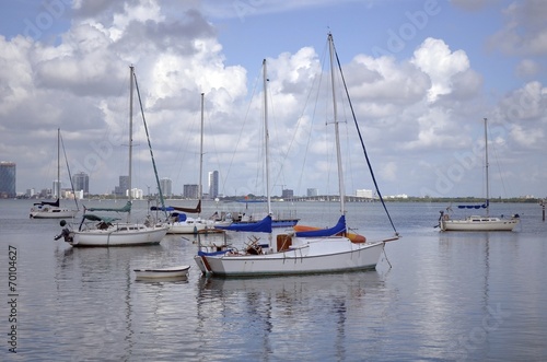 Sailboats On A Florida Waterway