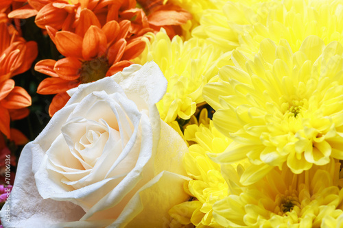 background image of the colorful flowers