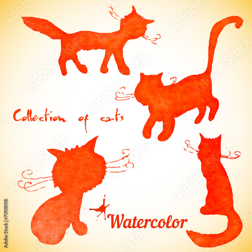 Collection of four cats