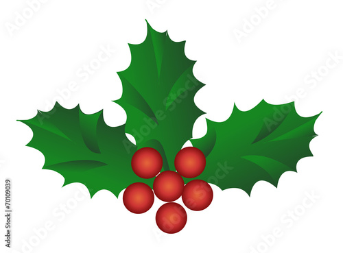 holly berries