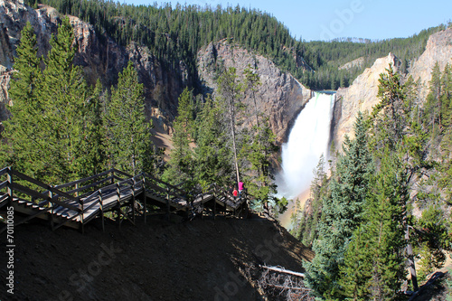 Yellowstone - Grand Canyon / Lower Falls photo