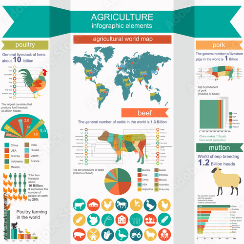 Agriculture, animal husbandry infographics, Vector illustrations
