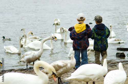 Canvas Print Children surrounded by swans