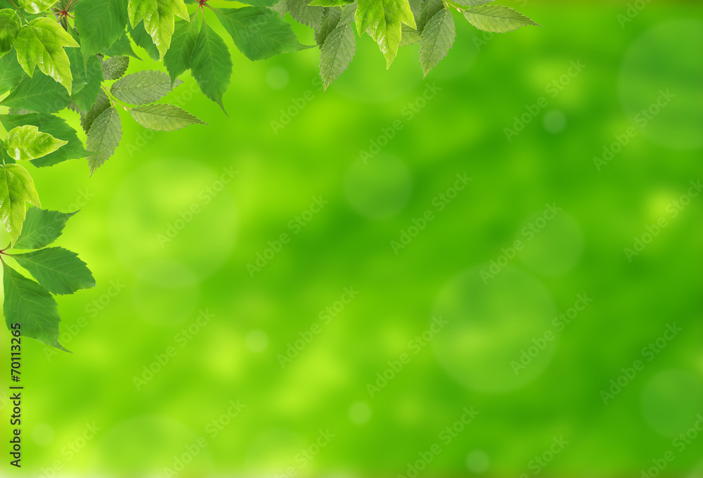 Beautiful nature background Beautiful nature background