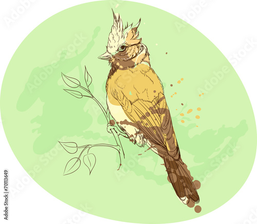 yellow bird on a branch