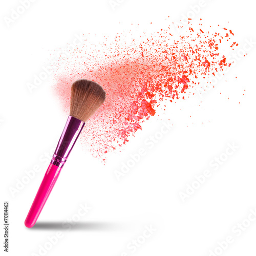 professional make-up brush